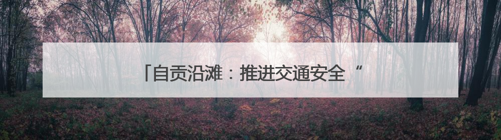 自贡沿滩：推进交通安全“四项整治”行动取得实效