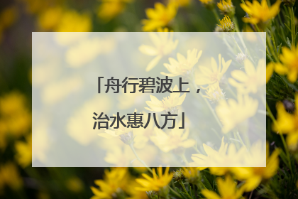舟行碧波上，治水惠八方