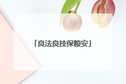 良法良技保粮安