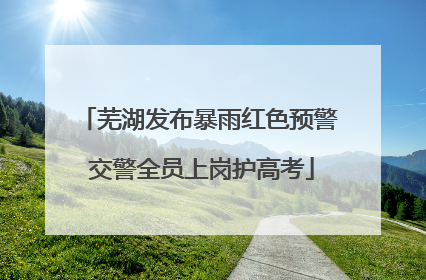 芜湖发布暴雨红色预警 交警全员上岗护高考