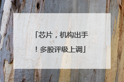 芯片，机构出手！多股评级上调