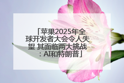苹果2025年全球开发者大会令人失望 其面临两大挑战：AI和特朗普