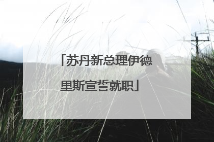 苏丹新总理伊德里斯宣誓就职