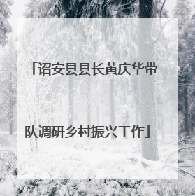 诏安县县长黄庆华带队调研乡村振兴工作