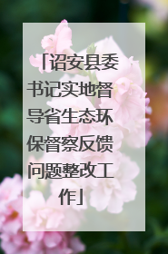 诏安县委书记实地督导省生态环保督察反馈问题整改工作