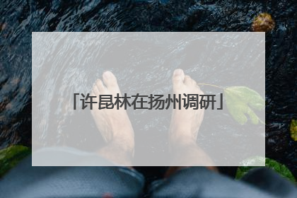 许昆林在扬州调研