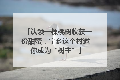 认领一棵桃树收获一份甜蜜，宁乡这个村邀你成为“树主”
