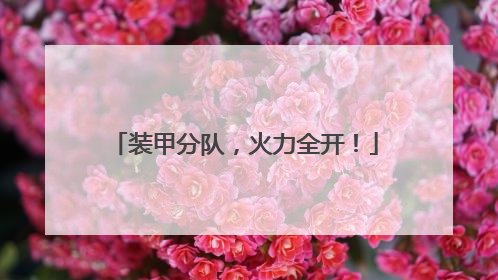 装甲分队，火力全开！