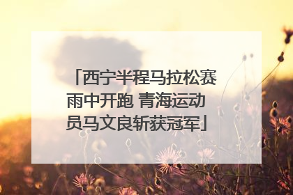 西宁半程马拉松赛雨中开跑 青海运动员马文良斩获冠军