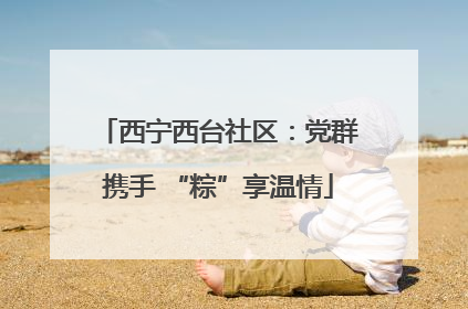 西宁西台社区：党群携手 “粽”享温情