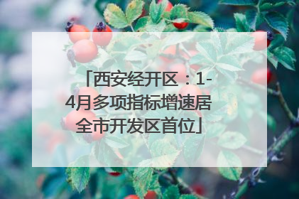西安经开区：1-4月多项指标增速居全市开发区首位