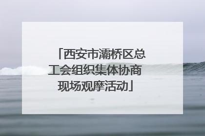 西安市灞桥区总工会组织集体协商现场观摩活动