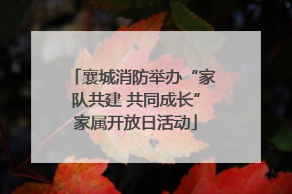 襄城消防举办“家队共建 共同成长”家属开放日活动