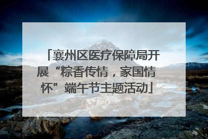 襄州区医疗保障局开展“粽香传情，家国情怀”端午节主题活动