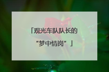 观光车队队长的“梦中情岗”