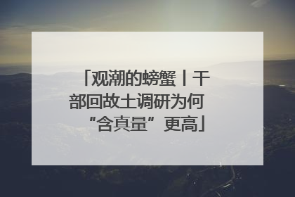 观潮的螃蟹丨干部回故土调研为何“含真量”更高