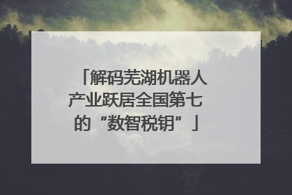 解码芜湖机器人产业跃居全国第七的“数智税钥”