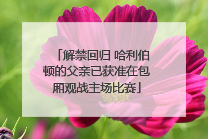 解禁回归 哈利伯顿的父亲已获准在包厢观战主场比赛