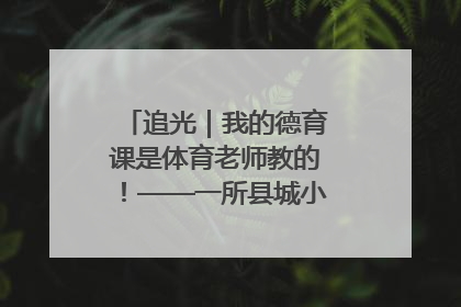 追光｜我的德育课是体育老师教的！——一所县城小学的思政课改革