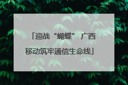 迎战“蝴蝶” 广西移动筑牢通信生命线