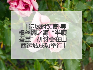 运城时装周·寻根丝绸之源“半颗蚕茧”研讨会在山西运城成功举行