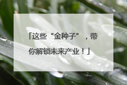 这些“金种子”，带你解锁未来产业！