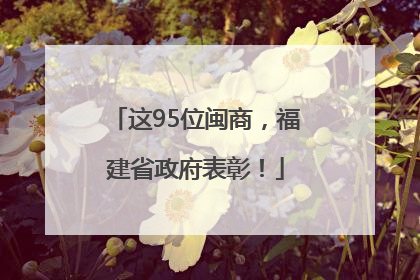 这95位闽商，福建省政府表彰！