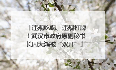 违规吃喝、违规打牌！武汉市政府原副秘书长周大鸿被“双开”