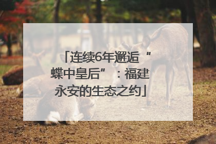 连续6年邂逅“蝶中皇后”：福建永安的生态之约
