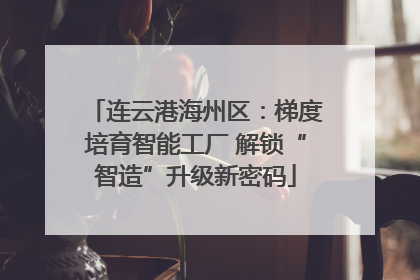连云港海州区：梯度培育智能工厂 解锁“智造”升级新密码