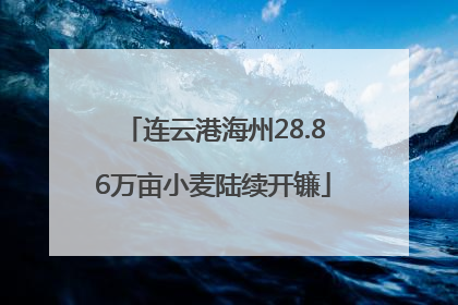 连云港海州28.86万亩小麦陆续开镰