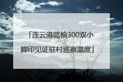 连云港赣榆300双小脚印见证驻村巡察温度