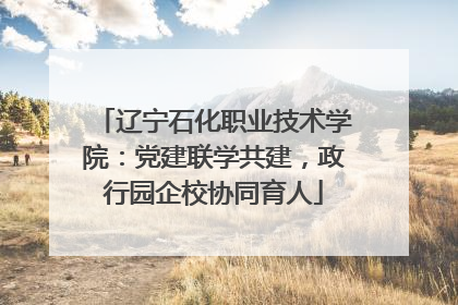 辽宁石化职业技术学院：党建联学共建，政行园企校协同育人