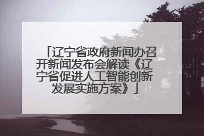 辽宁省政府新闻办召开新闻发布会解读《辽宁省促进人工智能创新发展实施方案》