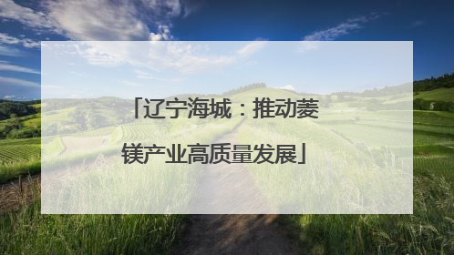 辽宁海城：推动菱镁产业高质量发展