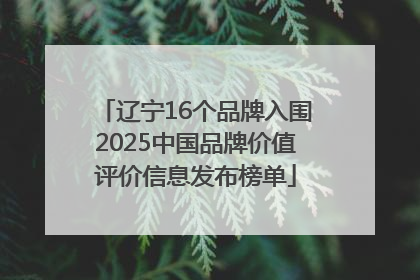 辽宁16个品牌入围2025中国品牌价值评价信息发布榜单