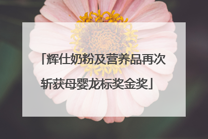 辉仕奶粉及营养品再次斩获母婴龙标奖金奖