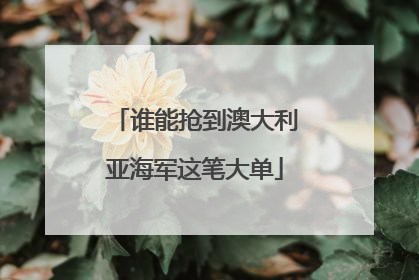 谁能抢到澳大利亚海军这笔大单