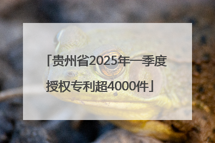 贵州省2025年一季度授权专利超4000件