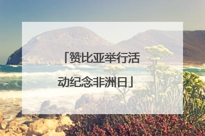 赞比亚举行活动纪念非洲日