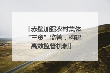 赤壁加强农村集体“三资”监管，构建高效监管机制