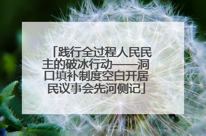 践行全过程人民民主的破冰行动——洞口填补制度空白开居民议事会先河侧记