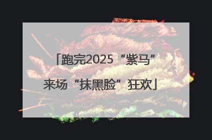 跑完2025“紫马” 来场“抹黑脸”狂欢