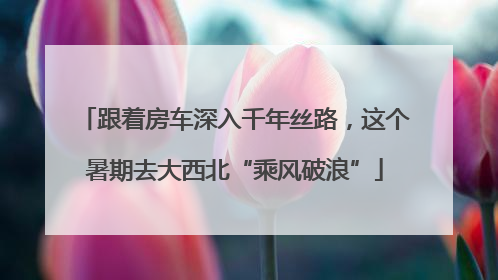跟着房车深入千年丝路，这个暑期去大西北“乘风破浪”