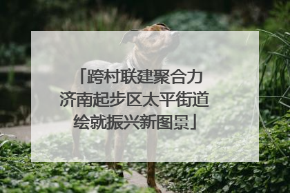 跨村联建聚合力 济南起步区太平街道绘就振兴新图景