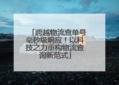 跨越物流查单号毫秒级响应！以科技之力重构物流查询新范式