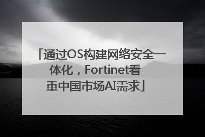通过OS构建网络安全一体化，Fortinet看重中国市场AI需求