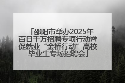 邵阳市举办2025年百日千万招聘专项行动暨促就业“金桥行动”高校毕业生专场招聘会