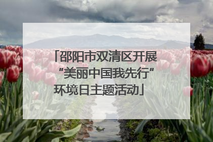 邵阳市双清区开展“美丽中国我先行”环境日主题活动