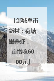 邹城皇甫新村：荷塘里养虾，一亩增收6000元